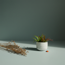 Handmade Ceramic Plant Pots & Planters