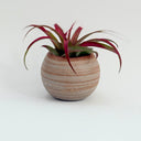 Mini Round Strata Vase