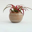 Mini Round Strata Vase
