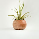 Mini Round Clay Vase