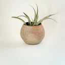 Mini Round Clay Vase #2