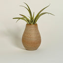 Mini Pear-Shaped Strata Vase