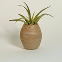 Mini Oval Strata Vase