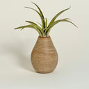 Mini Pear-Shaped Strata Vase #1