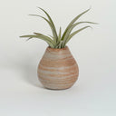 Mini Pear-Shaped Strata Vase #2