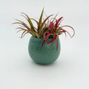Antique Turquoise Small Round Vase