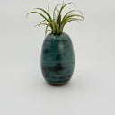 Blue ceramic vase with a plant on a white background