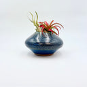 Small squat ceramic vase with a mottled blue glaze, shown holding an air plant and held in a hand for scale.