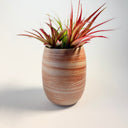 Medium Oval Strata Vase #1