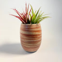 Medium Oval Strata Vase #1