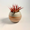 Round Ball Strata Vase #2