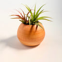 Sunrise Clay Medium Round Vase #1