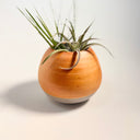 Sunrise Clay Medium Round Vase #2