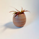 Small Oval Strata Vase