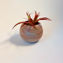 Small Round Strata Vase #1