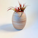Medium Oval Strata Vase