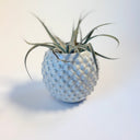 Small White Dotty Vase