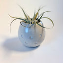 Small White Innie Dotty Vase