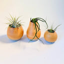 Sunrise Clay Mini Vase Set