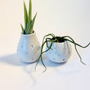 White Mini Dotty Vase