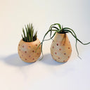 Sunrise Mini Innie Dotty Vase Set
