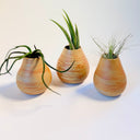 Sunrise Mini Vase Set