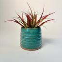 Small Turquoise Cache Pot