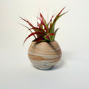Small Round Strata Vase
