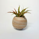 Small Round Strata Turquoise Vase